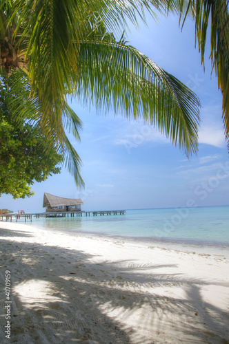 Perfect beach on the Maldives (Malediven)
