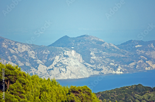 Sosnowy las nad zatoką na greckiej wyspie Zakynthos