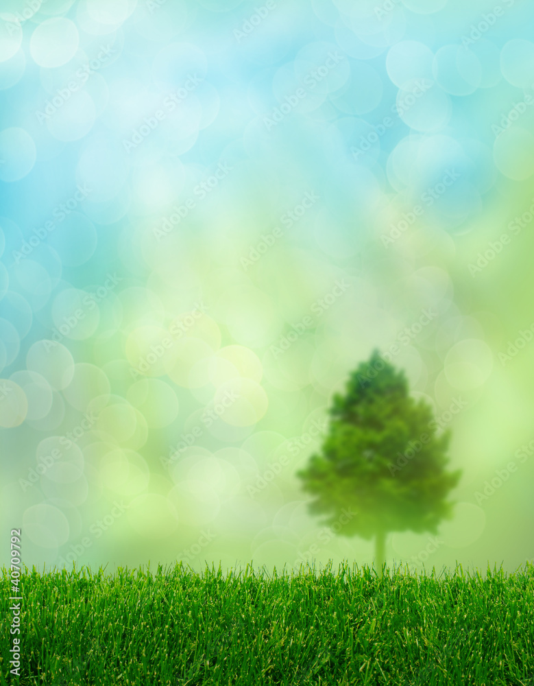 Obraz premium Green grass spring fantasy