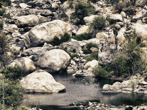 Sequoia National Park, U.S.A.