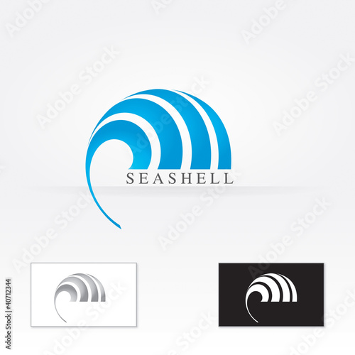 seashell photo