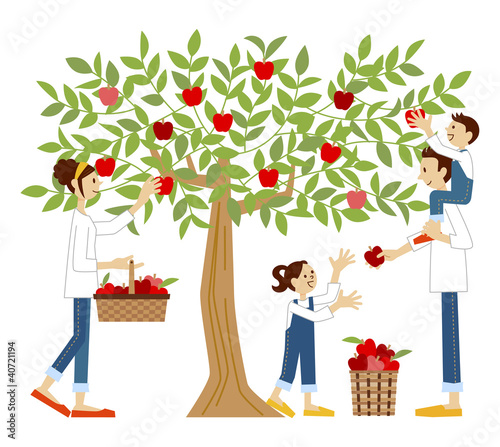 apple tree