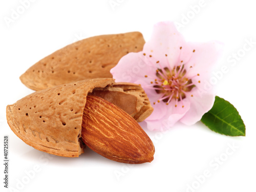 Sweet almonds with flower