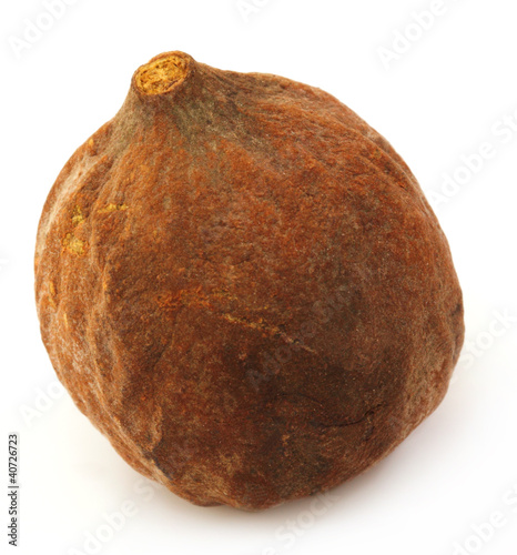 Medicinal Bahera fruit of India photo