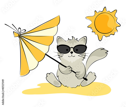 Cat in the glasses on the beach