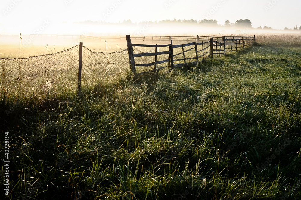 Meadow and fence at countryside in early morning mist,landscape