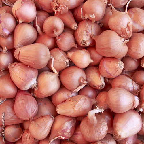 onions closeup, food background