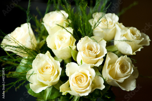 yellow roses © Firma V
