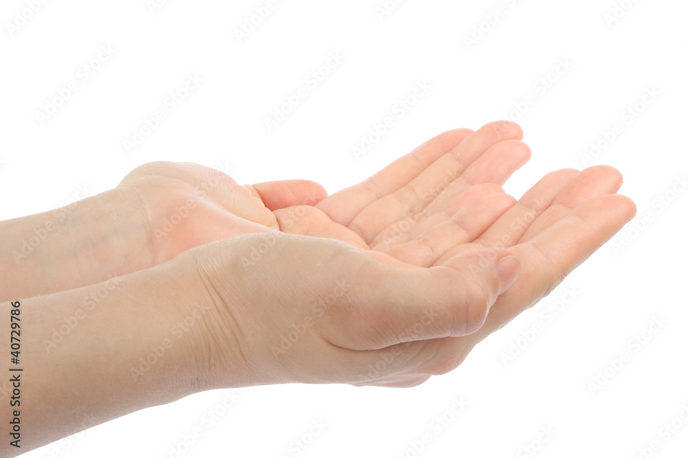Open woman hands on white background Open woman hands on white background