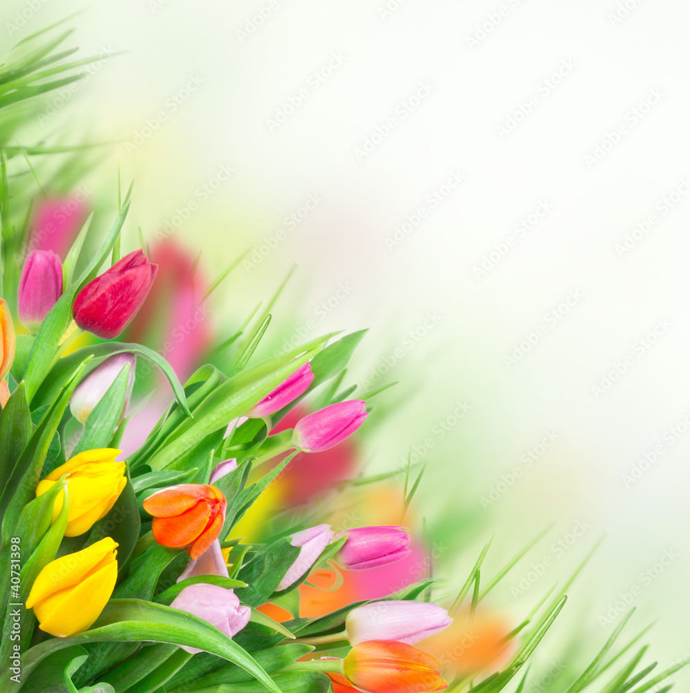 Spring flowers background Spring flowers background