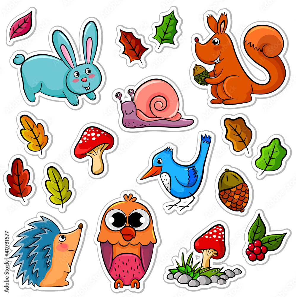 collection of forest animals and plants