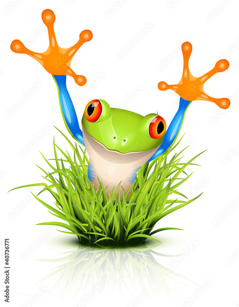 Obraz premium Little tree frog on grass