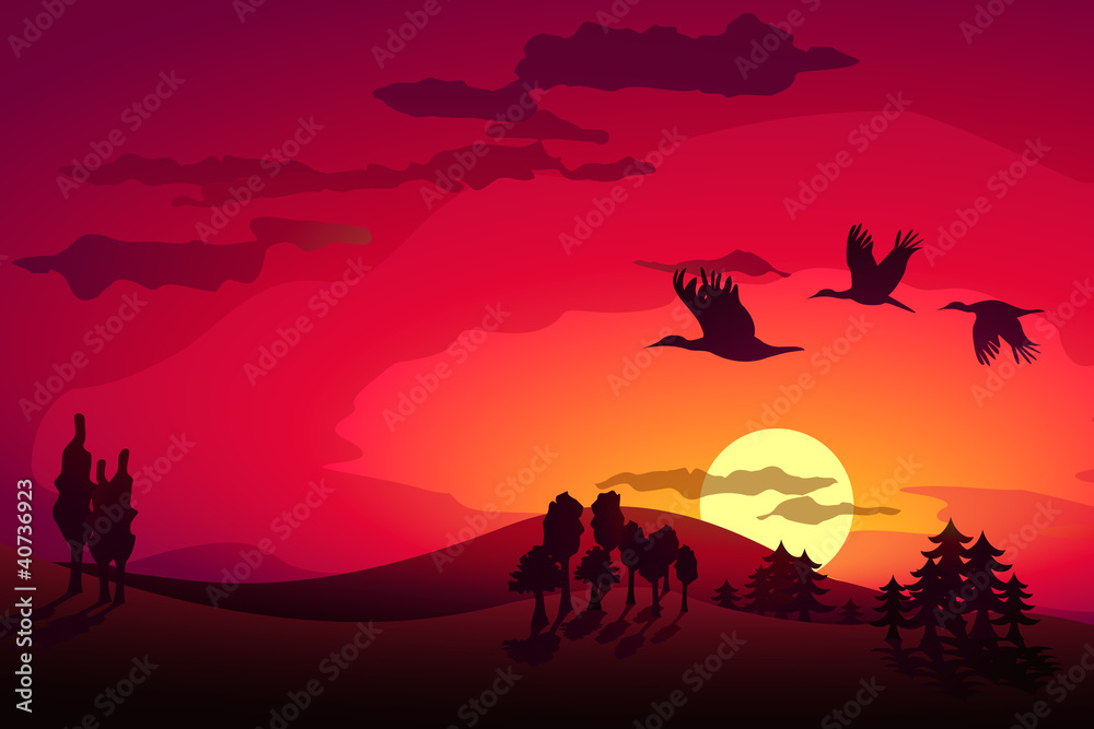 Sunset landscape and flying storks