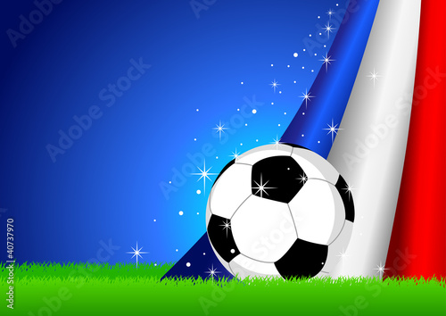 Vector illustration of a soccer ball with France insignia