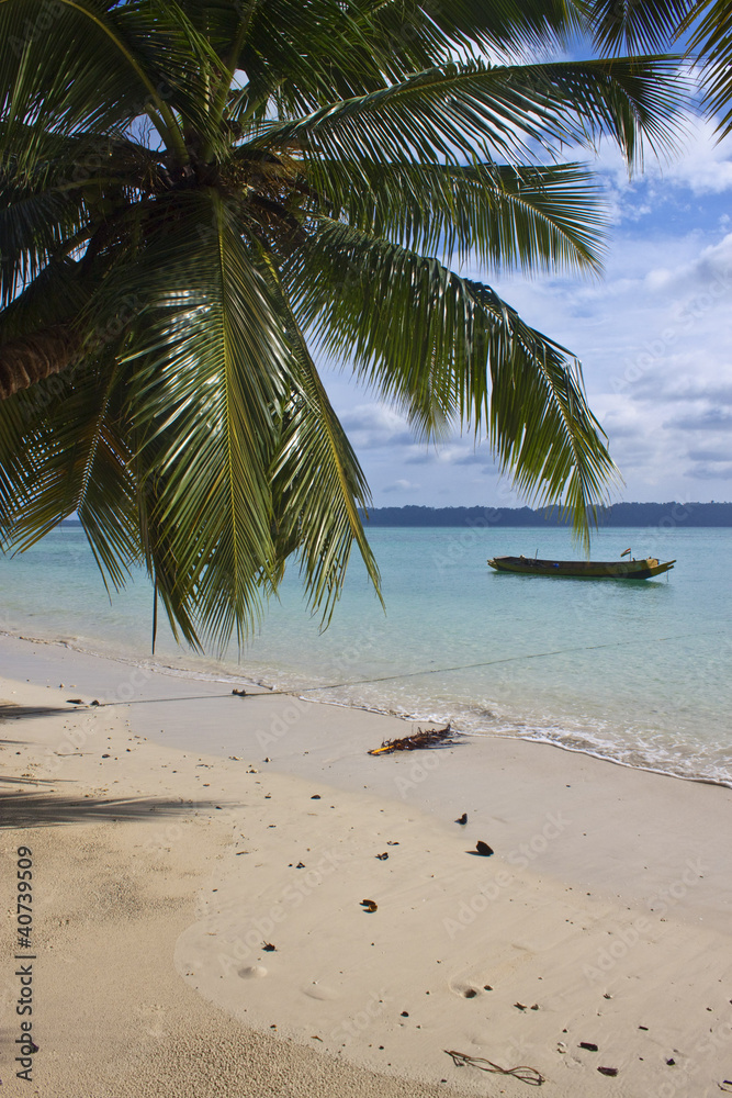 Tropical paradise beach, Havelock, Andaman Islands, India