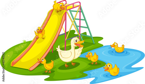 Ducks in a park