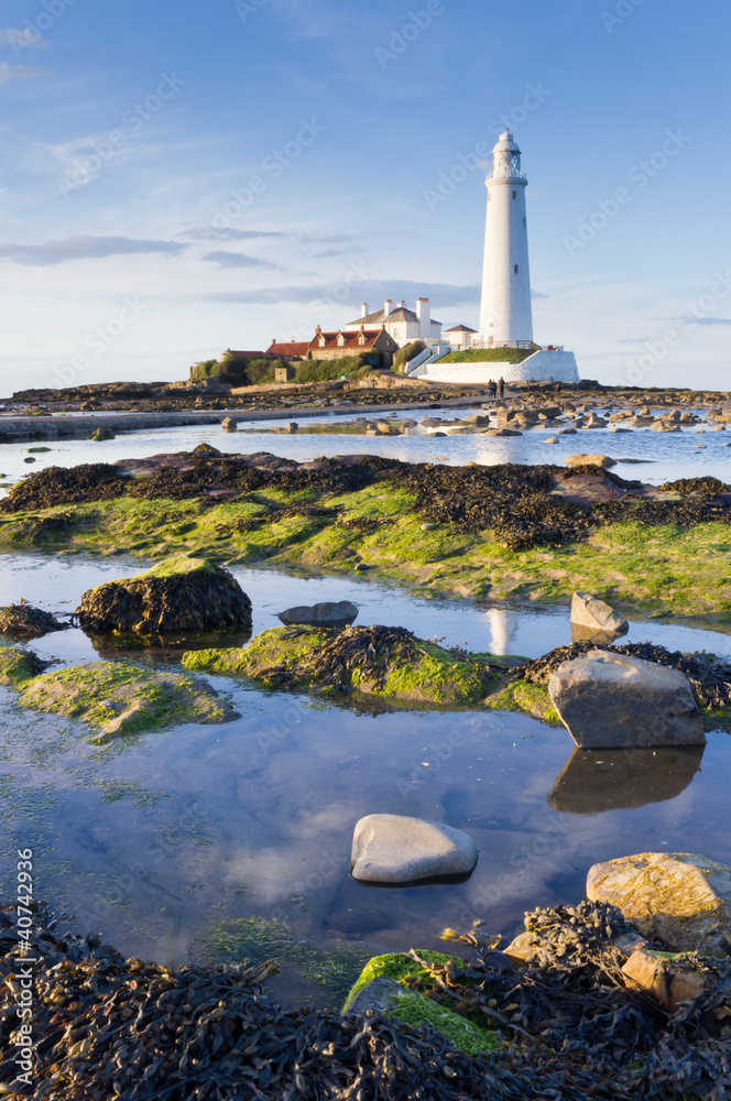 Fototapeta premium St Marys Lighthouse at low tide