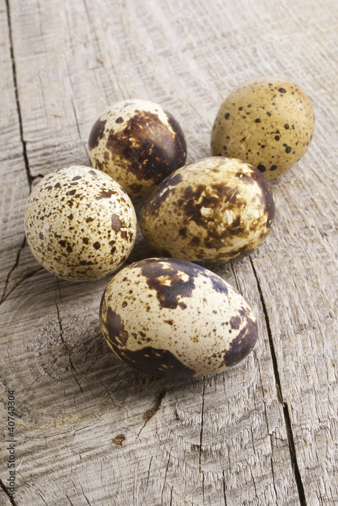 quail eggs quail eggs