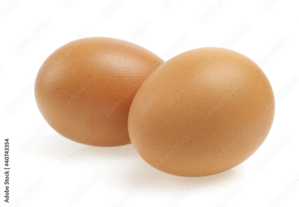 eggs on a white background