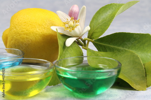 Limone in fiore