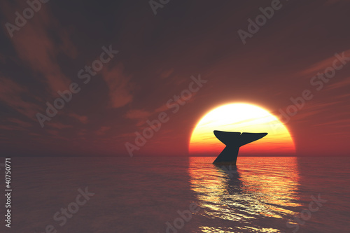 クジラと夕日