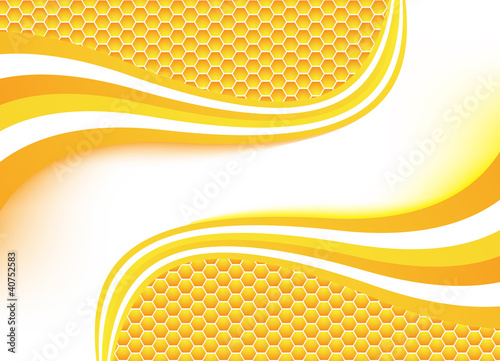 Vector honey background