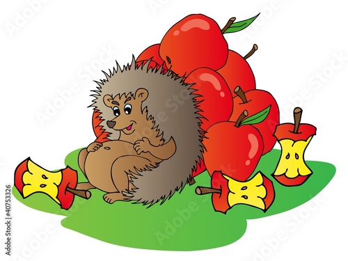 Hedgehog with apples