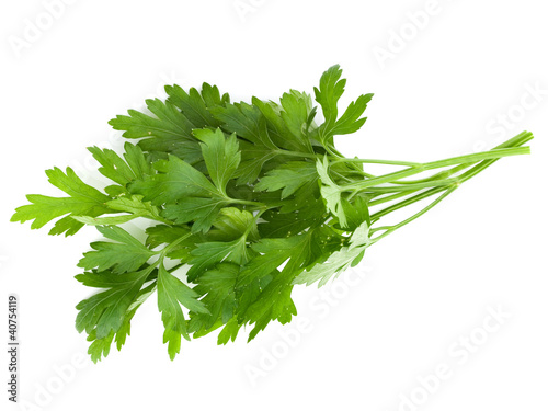 Bunch of parsley isolated on white