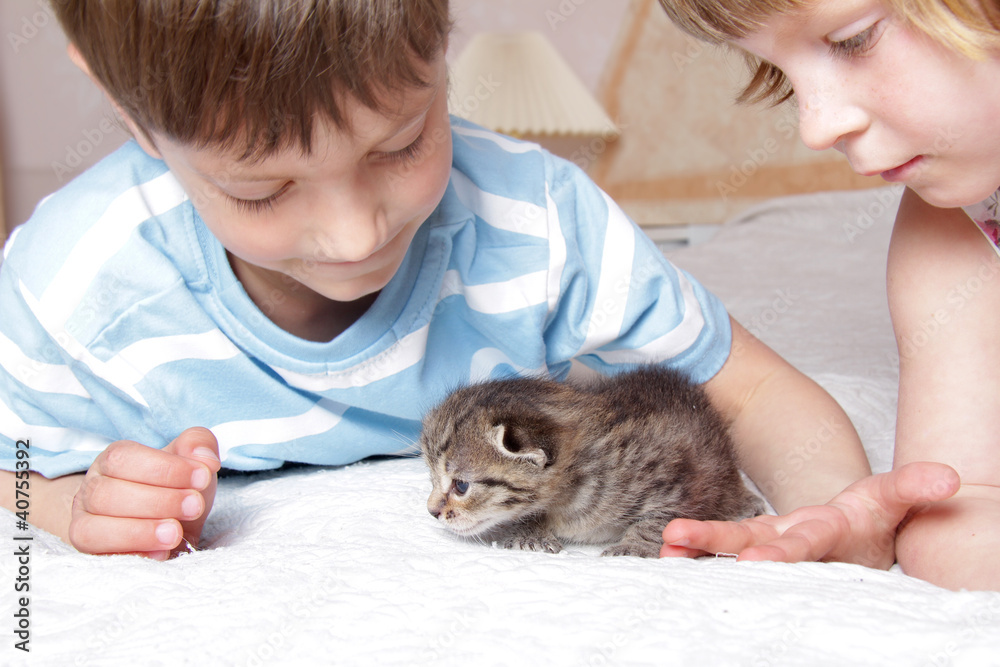 two children with kitten at home two children with kitten at home