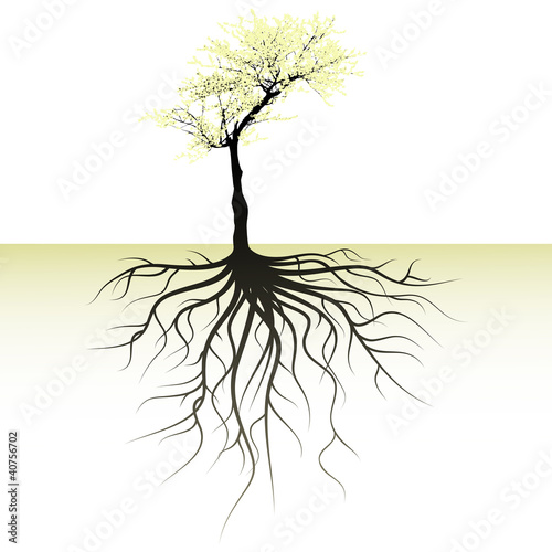 blooming tree with a space for a text