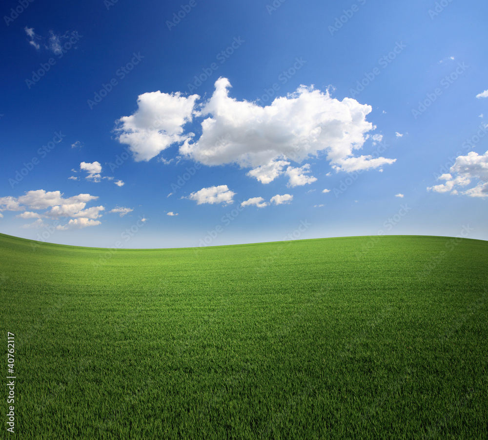 Lush green grass and a cool blue sky