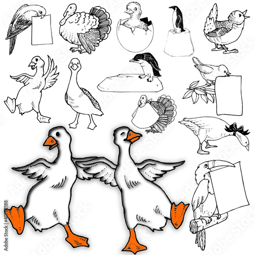 zoo wild domestic character animals design geese two