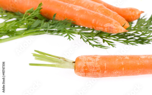 Heap of carrots