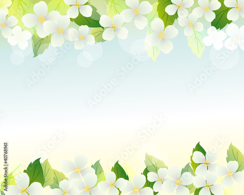 jasmine background