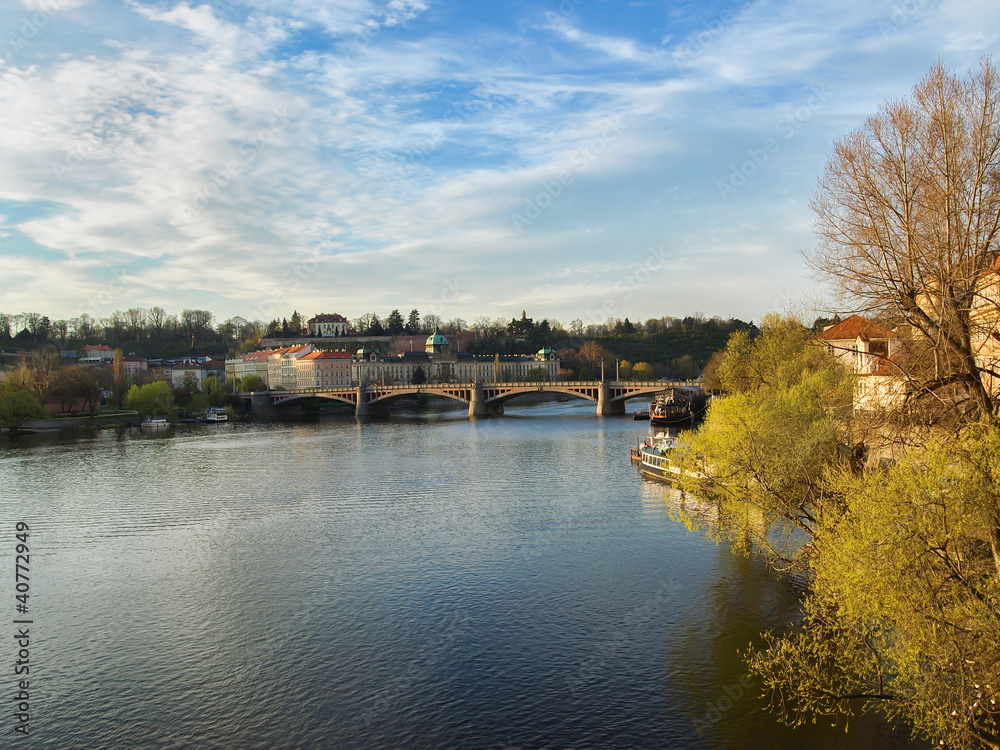 Naklejka premium Manesuv bridge