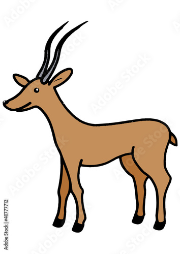 gazelle