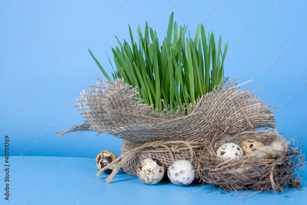 Easter still life with quail eggs in the nest Easter still life with quail eggs in the nest