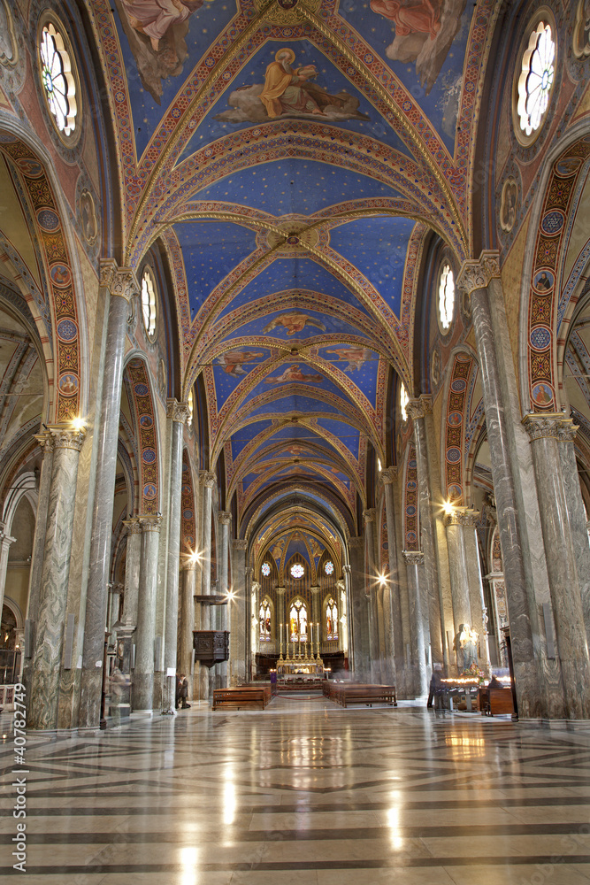 Rome - nave of Santa Maria sopra Minerva church