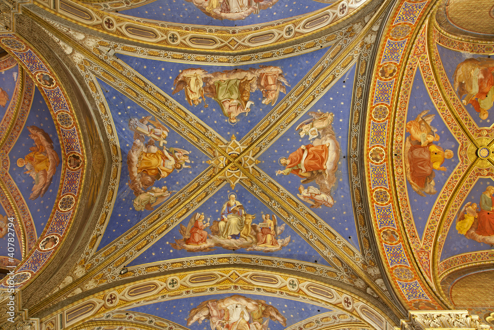 Rome - roof from Santa Maria sopra Minerva church