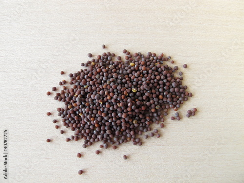 Schwarzer Senfsamen, Sinapis nigrae semen