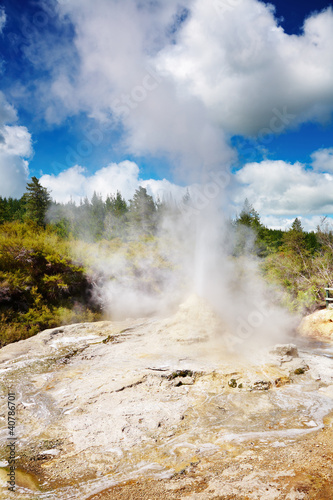 Lady Knox Geyser