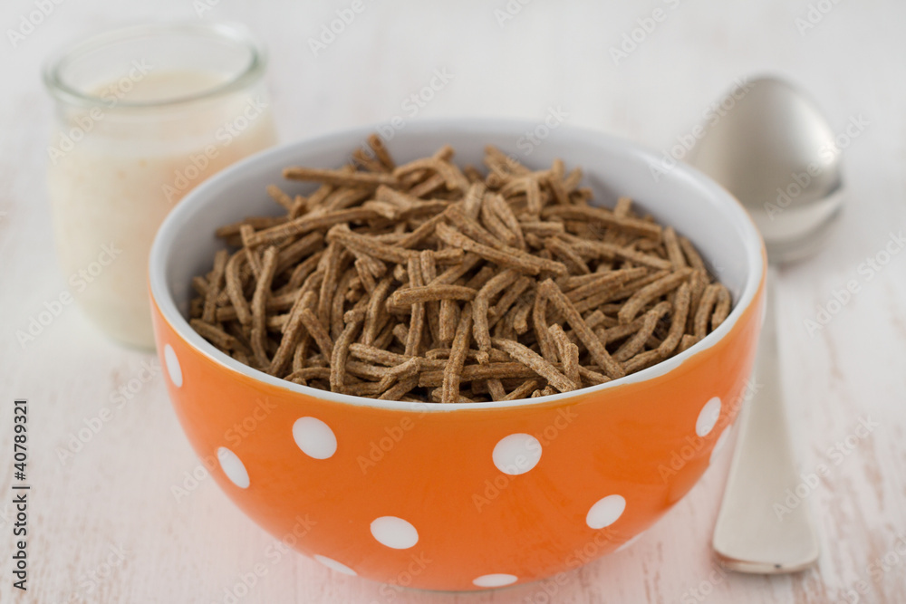 cereals in the bowl with spoon cereals in the bowl with spoon