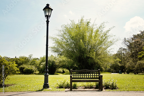 Streetlight, the bench and the garden