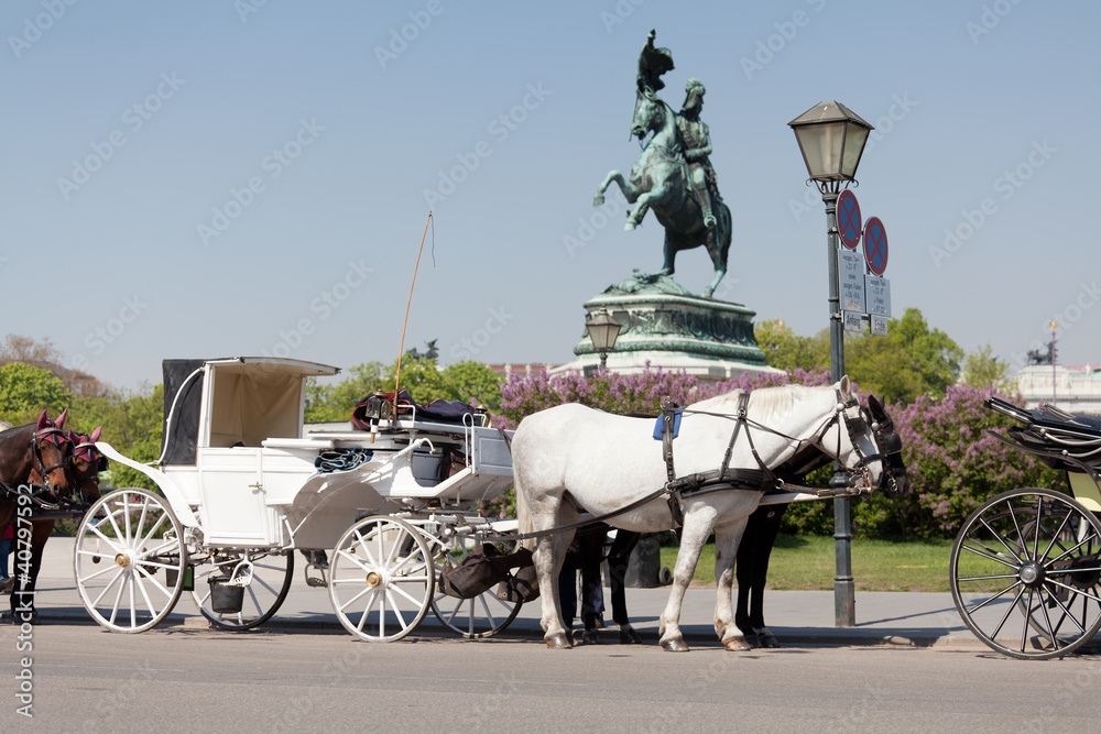 Fototapeta premium Fiaker in Wien