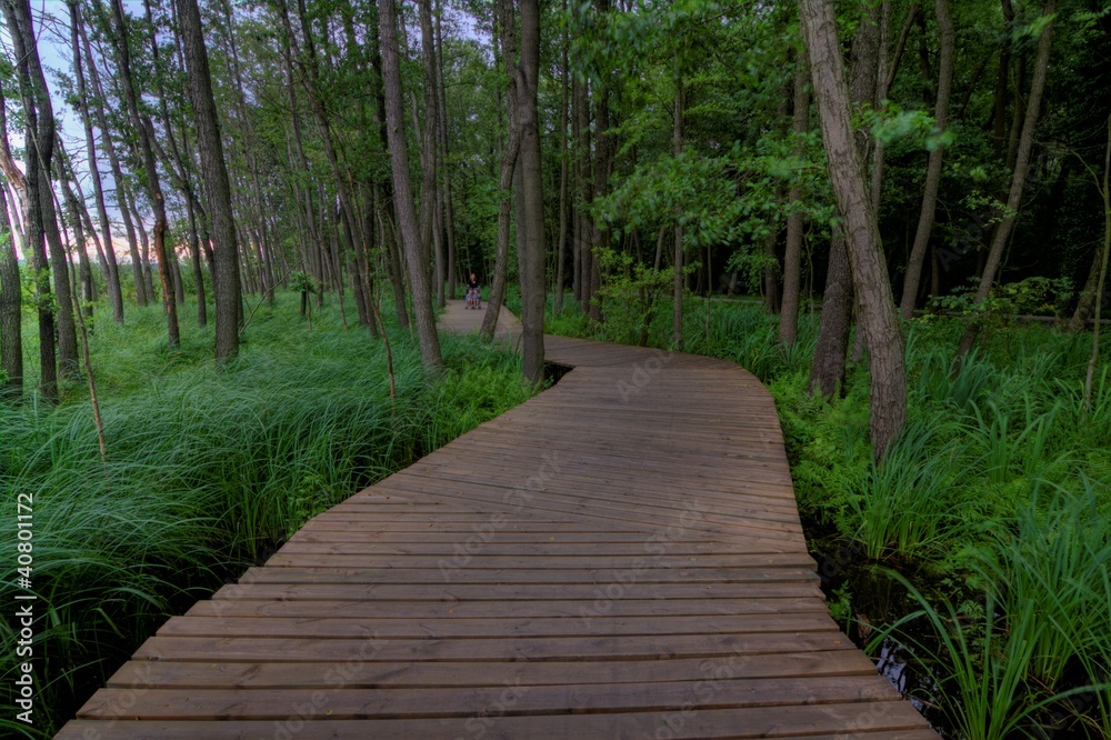 Obraz premium footbridge