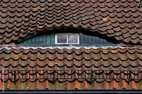 Dachgaube mit Fenster