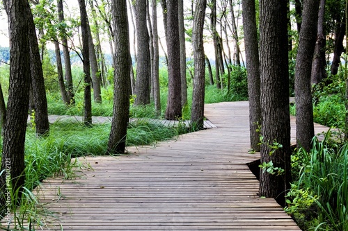 footbridge