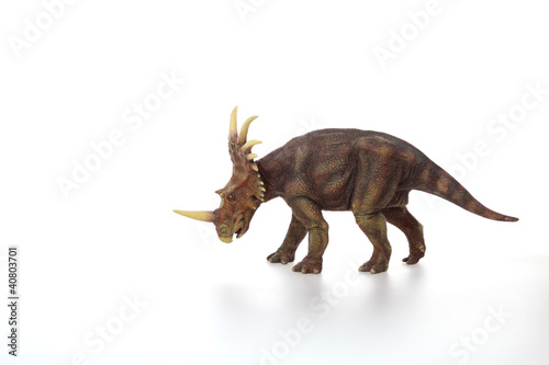 Styracosaurus dinosaur