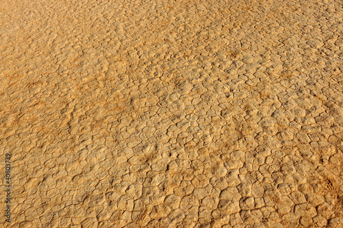 Cracks in desert sand, Wadi Rum