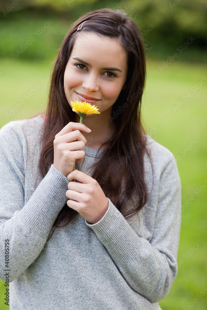 Young relaxed woman smelling a yellow flower while standing in a Young relaxed woman smelling a yellow flower while standing in a